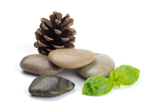 Natural shiny pebbles with a cone and green leaves