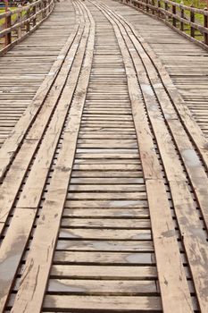 Rope walkway through the treetops in a rain forest