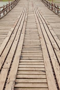 Rope walkway through the treetops in a rain forest