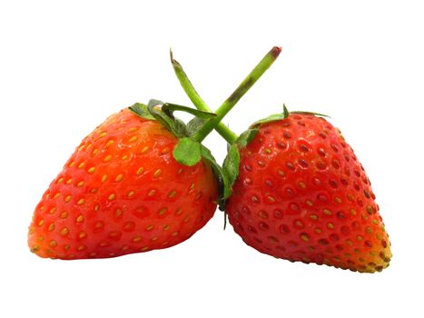 Two strawberries close together isolated with clipping path