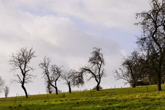 British landscape in winter, UK