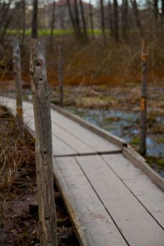 Duckboard going trough a swamp