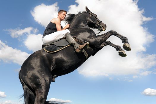 young man and her beautiful black stallion rearing up