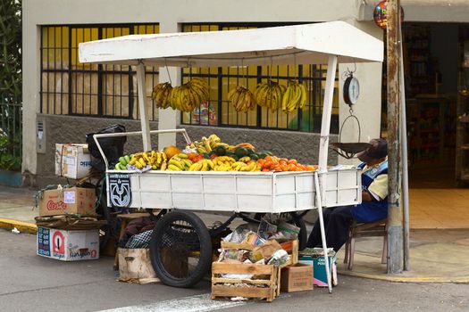 Lima, Peru - September 20, 2011: A mobile vendor selling fruits (mandarine, banana, papaya and avocado) on a cart. Mobile vendors are a very common sight on the streets of Lima because of the high unemployment rate and many of them work more than 8-10 hours a day 