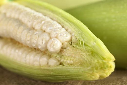 Fresh raw white sweet corn sprinkled with water (Selective Focus, Focus on the corn grain in the front)