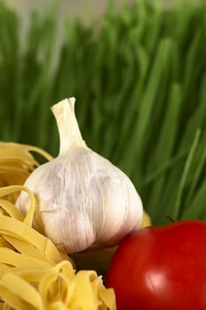 Garlic bulb and globe tomato on raw yellow tagliatelle with green spinach-flavored tagliatelle in the back (Selective Focus, Focus on the front of the garlic and the tomato)