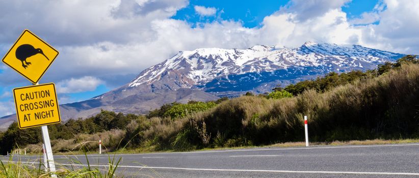 New Zealand Road Sign Attention Kiwi Crossing at road near active volcano of Mount Ruapehu in Tongariro National Park