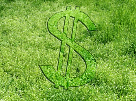 sign of dollar on grass