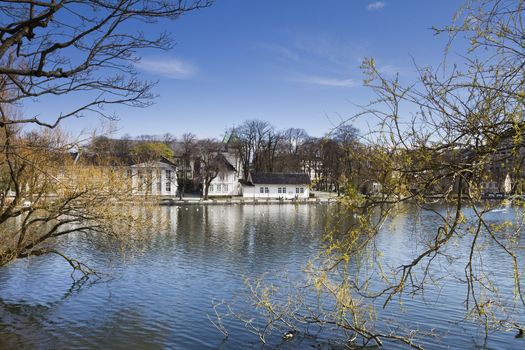 houses at small sea in stavanger with trees in foreground