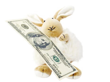 hare toy with 100 dollars