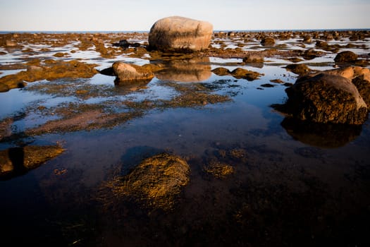 Stones in water - low tide