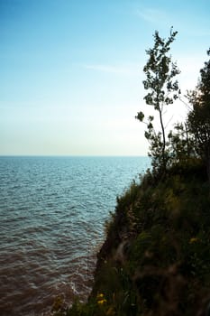 View of the skyline