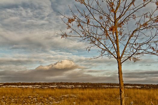 Beautiful flat lands of Saskatchewan on a mild winter day