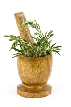 fresh green rosemary in mortar isolated on white