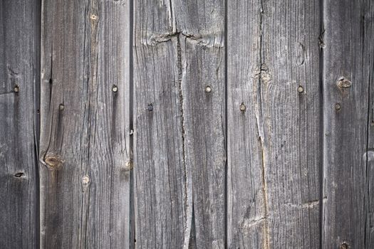 Background of wooden knotted grey planks 