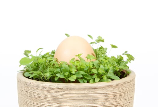 Spring vegetable with egg in ceramic pot on a white background