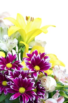 a bouquet of different flowers isolated on white background