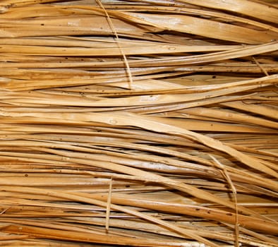 Background of palm straw covered polish close up