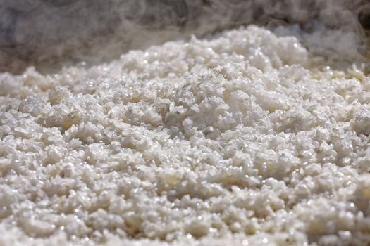 are fresh the prepared rice for pilaf, close up