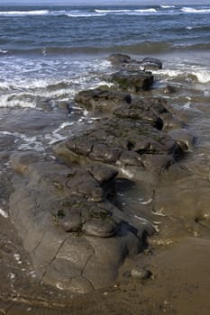 slime mud banks on the shannon estuary in kerry ireland