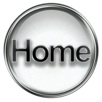  home icon grey, isolated on white background