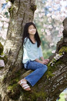 Ten year old biracial girl sitting in cherry tree covered in blossoms
