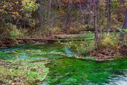 nature of alley spring river in missouri