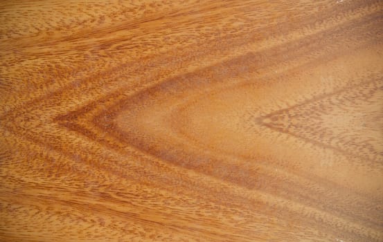 Texture of wood background closeup