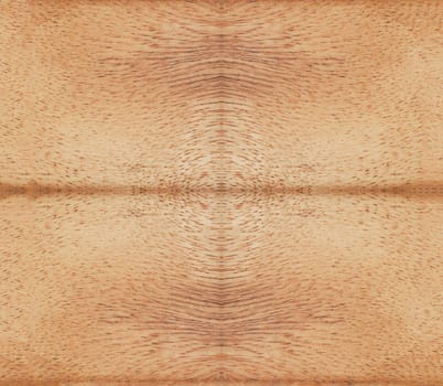 Texture of wood background closeup