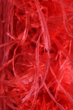 Detail of the soft fine ostrich or malibou feathers used to weave an elegant red feather boa, scarf or stole