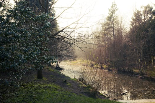 A long, thin ornamental water feature. A kind of pond. A part of "Cammo Estate", Edinburgh, Scotland.