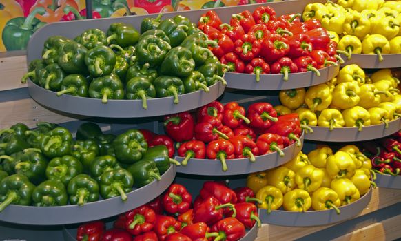 green red and yellow paprika on the floriade 