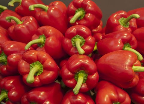 red paprika on the floriade show 2012 holland
