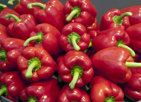 dark red paprika on the floriade show 2012 holland