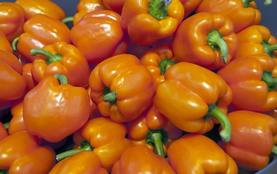 orange paprika on the floriade show 2012 in Holland