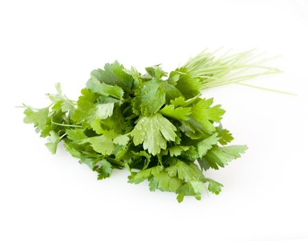 parsley bouquet on white background