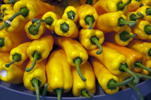 yellow paprika on the floriade show 2012 in Holland
