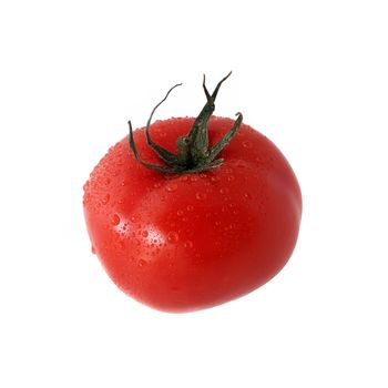 tomato on white background