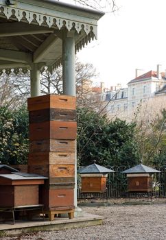 hives in the city Paris France
