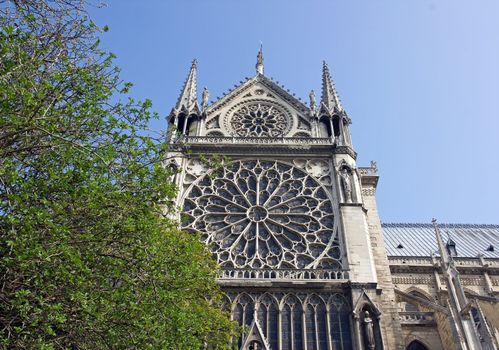 spring at Notre Dame de Paris France