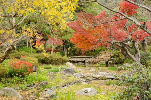 Japanese park in Kyoto in autumn with red and yellow leaves