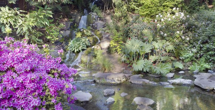 Waterfall and Creek at Crystal Springs Rhododendron Garden in Portland Oregon Panorama