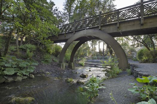 Wooden Bridge Over Stream in Crystal Springs Rhododendron Garden in Oregon