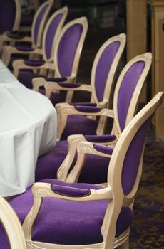 Several Luxurious Purple Chairs Lined Up in a Formal Dining Room.
