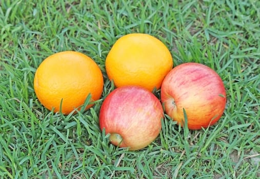 Oranges and apples in the green grass