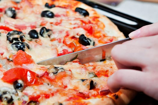 The pizza with tomato, olive and cheese.