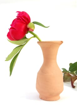 red flower in clay vase