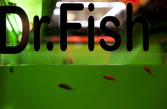 Aquarium filled with by Garra rufa aka Doctor Fish in Cambodia