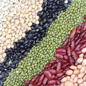 Varieties of beans on Dish, Job Tear, Soy Bean, Black Bean, Mung Bean, Red Kidney bean, Ground bean