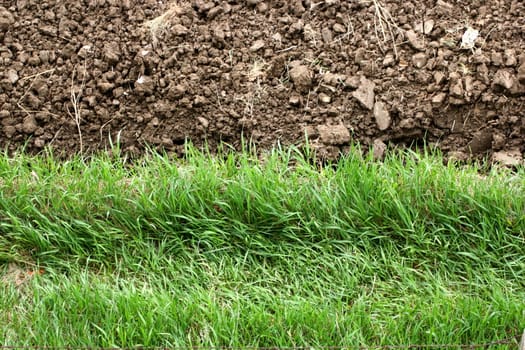 contrast textures - edge of plowed land and green grass 